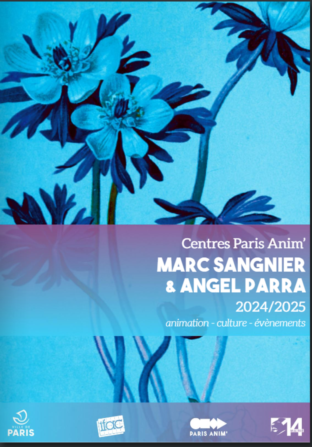 Brochure des activités de la saison 24-25