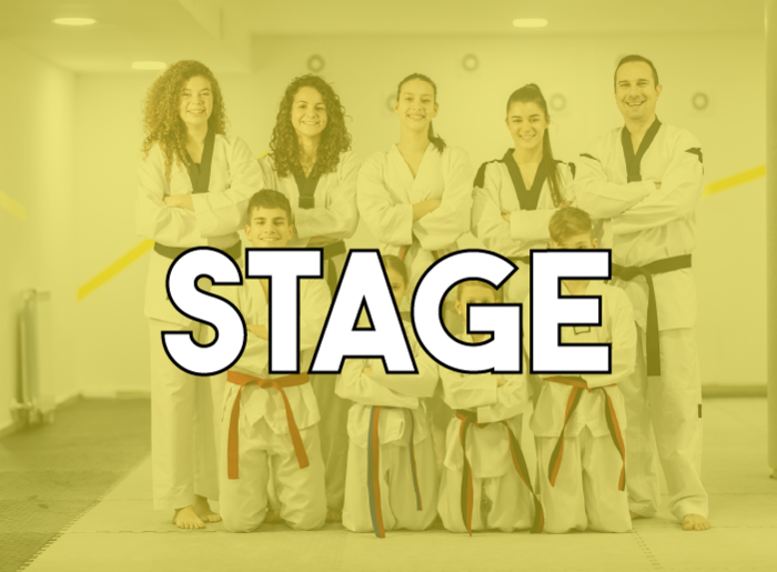 Stage | Taekwondo