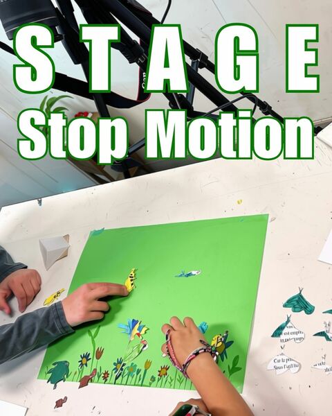 Stage | Stop Motion 