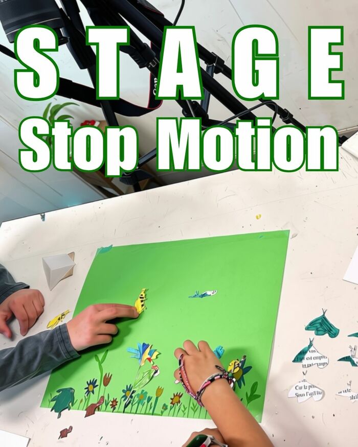 Stage | Stop Motion 